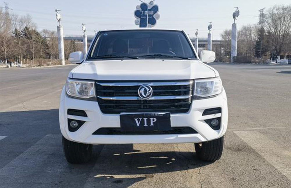 2023 Dongfeng Rich